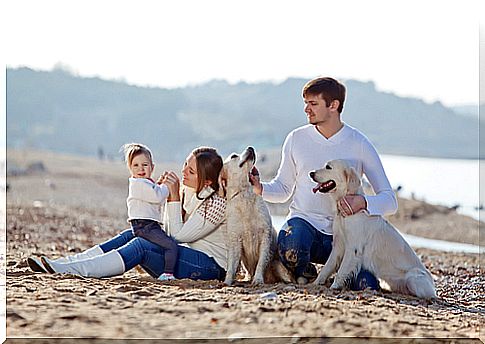 dogs-and-family