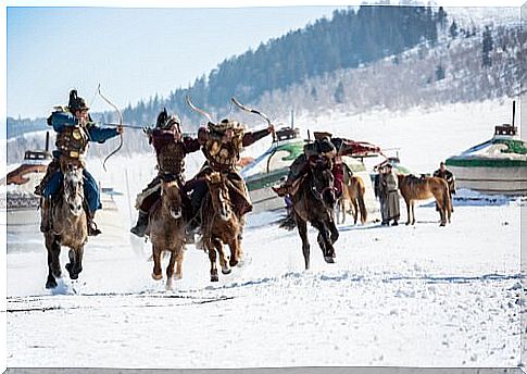 Mongolian horses