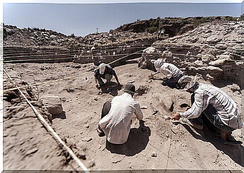 Archaeologists excavate a sunny site.