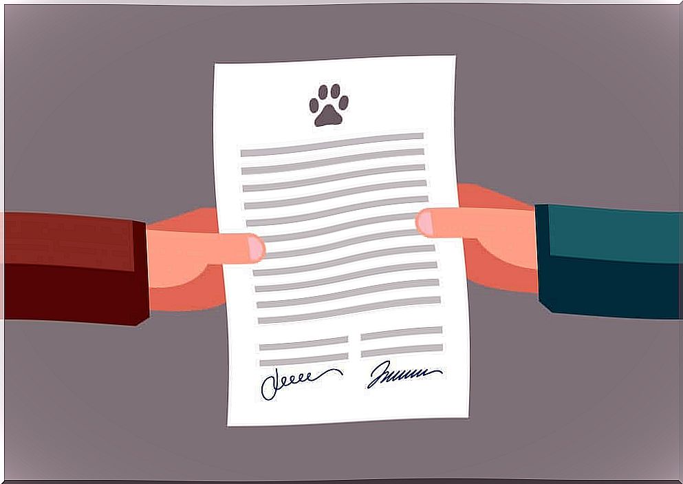 All about legal documentation for animals