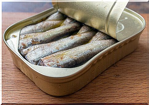 a can of sardines for the barf diet