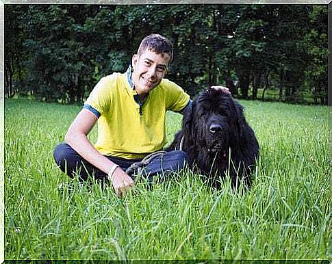 Happy dog ​​sitter stroking a Newfoundland