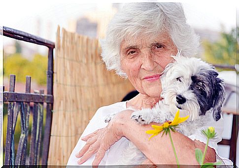 dog-with-old woman