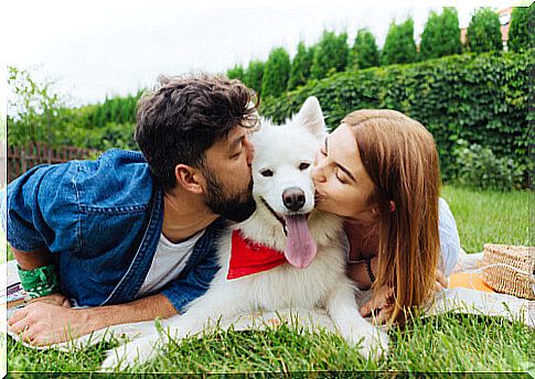 Dog together with his family.