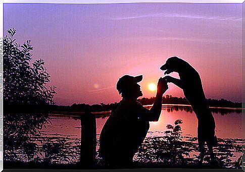 Dog with master at sunset.