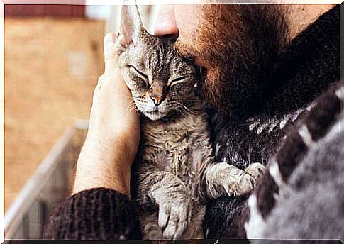 Master kissing cat in his arms 