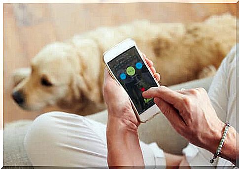 Master who a dog app.