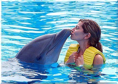 Do captive dolphins really suffer?