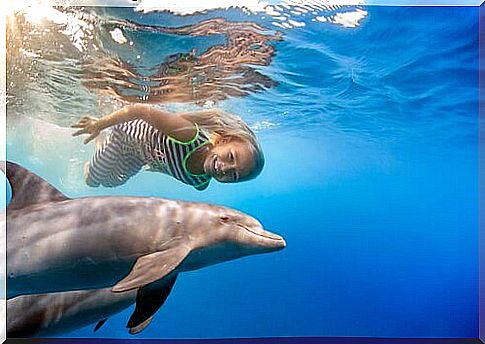 little girl swims with a dolphin