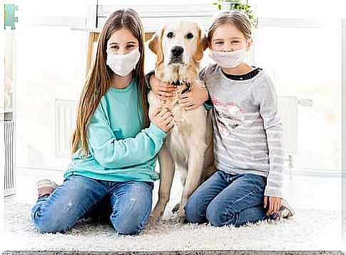 Little girls with masks and their dog.