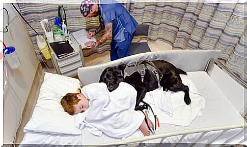 dog-and-baby-in-hospital-bed