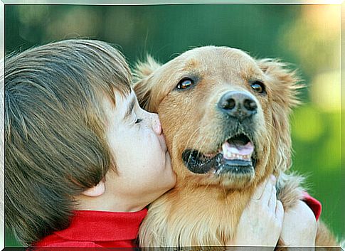 child-and-dog