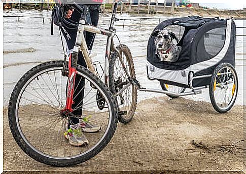 Dog cart to attach to the bicycle