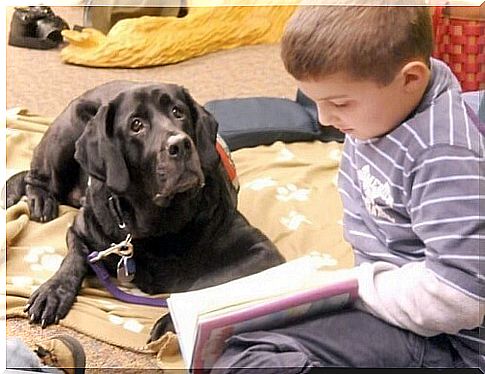 Dogs facilitate childhood learning