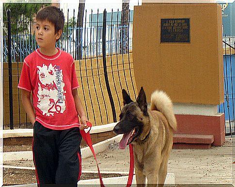 bambino-che-passeggia-il-cane