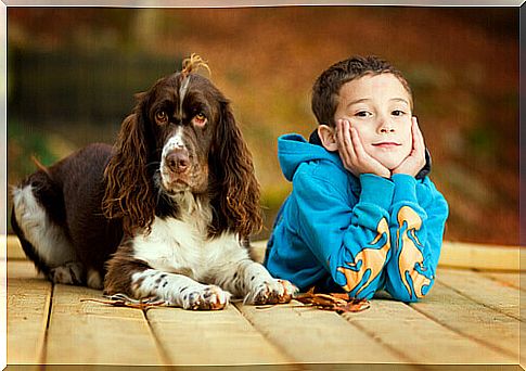 Dogs that go to class and help the children