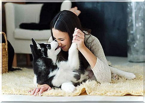 Girl and dog on the carpet