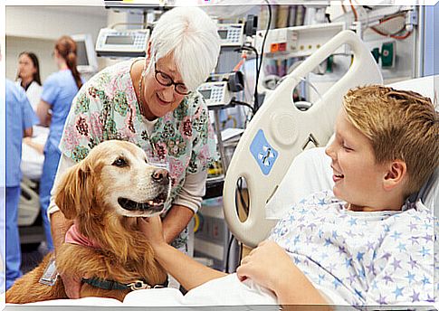 dog-with-child-in-hospital