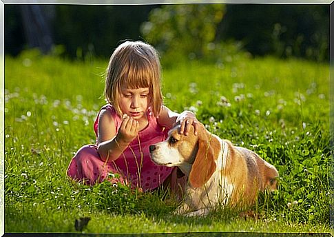 beagle-with-child