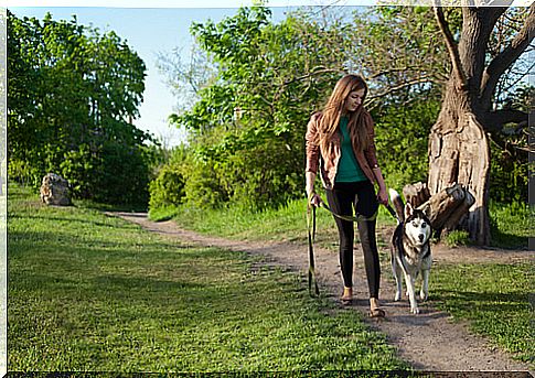 How to educate an unsociable dog