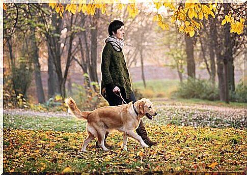 Ideas for walking the dog in the fall