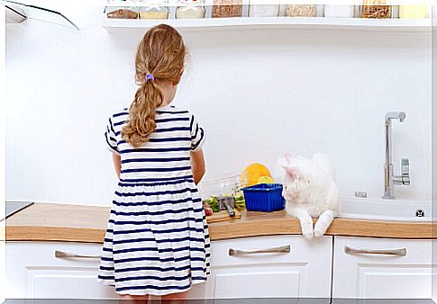 little girl in the kitchen and white cat