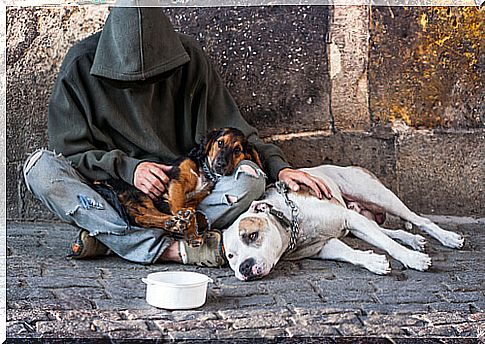 Loyalty proof in the worst moments: beggars with their dogs