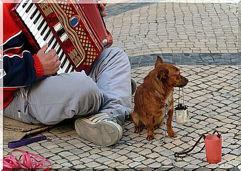 beggar and dog 2