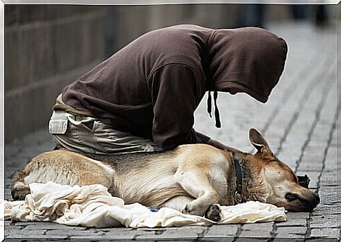 beggar and dog 3