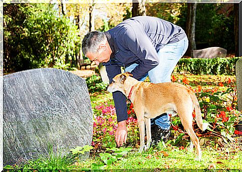 Master and dog at the cemetery