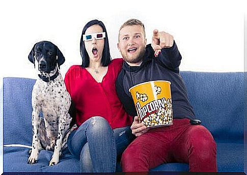 Movies to watch with your dog