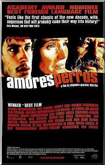 Amores perros: movies to watch with your dog