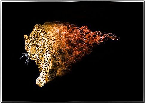 jaguar turning into flames