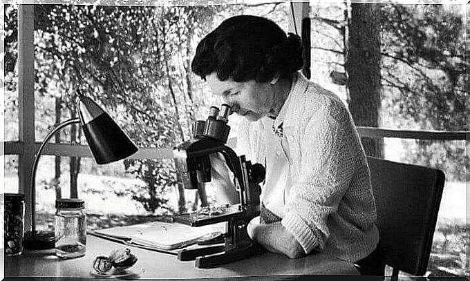 Rachel Carson under the microscope