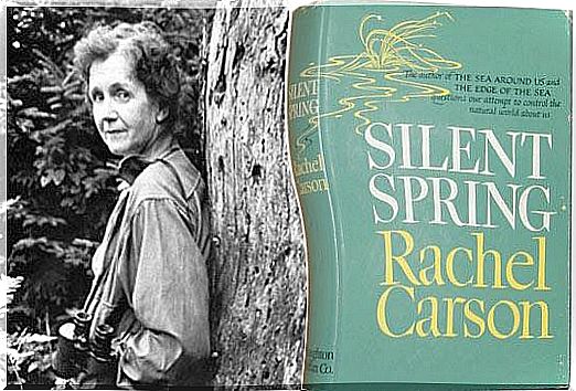 Silent Spring Book