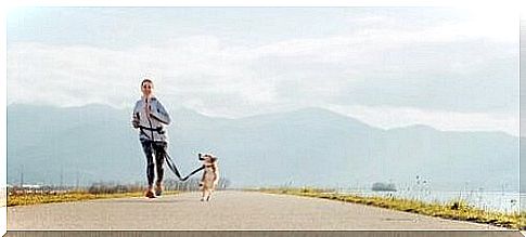 Running with your dog: benefits