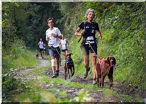 People run with dogs