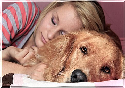 Sleeping with our animals: pros and cons