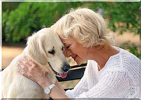 The benefits of having a pet for the elderly