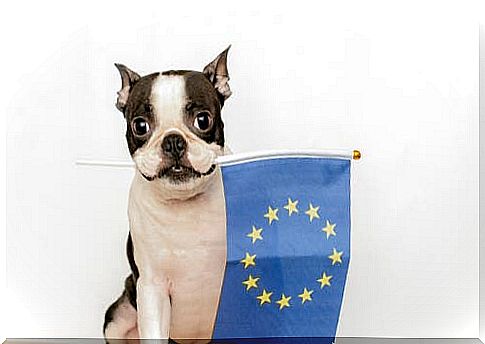 The European Convention for the Protection of Pet Animals