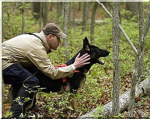 The importance of training and education in dogs