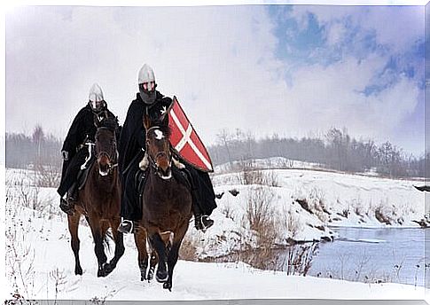 Horses in the snow