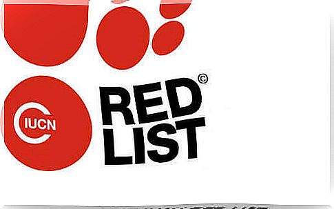 The Red List of Endangered Species