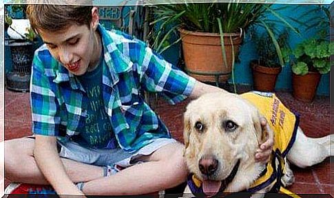 The tender story of Felipe and his guide dog