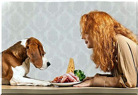 What are a dog's nutritional needs?