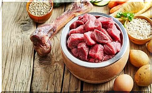 Bowl full of meat.  Protein is one of a dog's most important nutritional needs