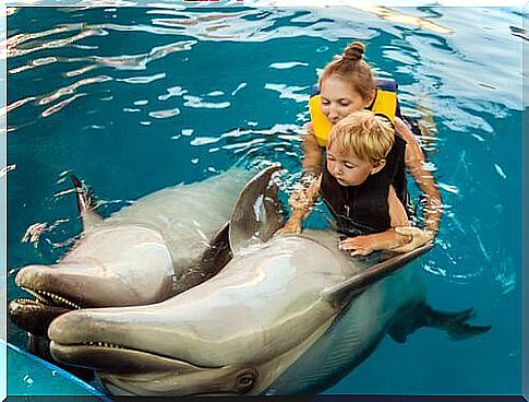 Pet therapy, children with dolphins.