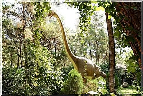 What herbivorous dinosaurs existed?