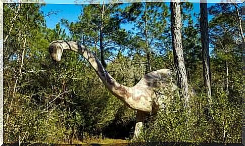 herbivorous dinosaur in a wood