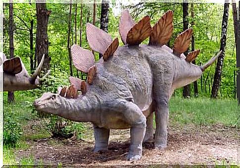 model of stegosaurus in a wood